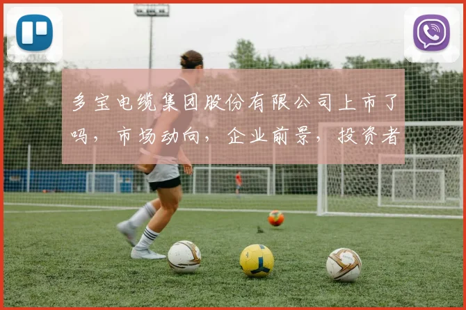 多宝电缆集团股份有限公司上市了吗，市场动向，企业前景，投资者关注三连发
