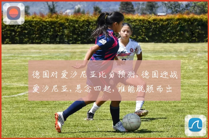 德国对爱沙尼亚比分预测,德国迎战爱沙尼亚,悬念四起,谁能脱颖而出