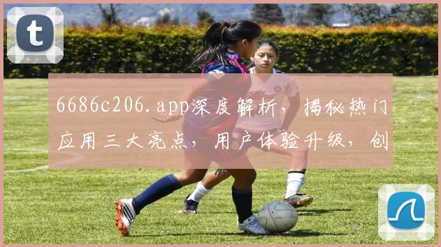 6686c206.app深度解析,揭秘热门应用三大亮点,用户体验升级,创新技术引领潮流