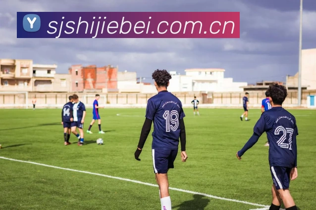 上届世界杯 官方入口与每日热门信息汇总服务体系